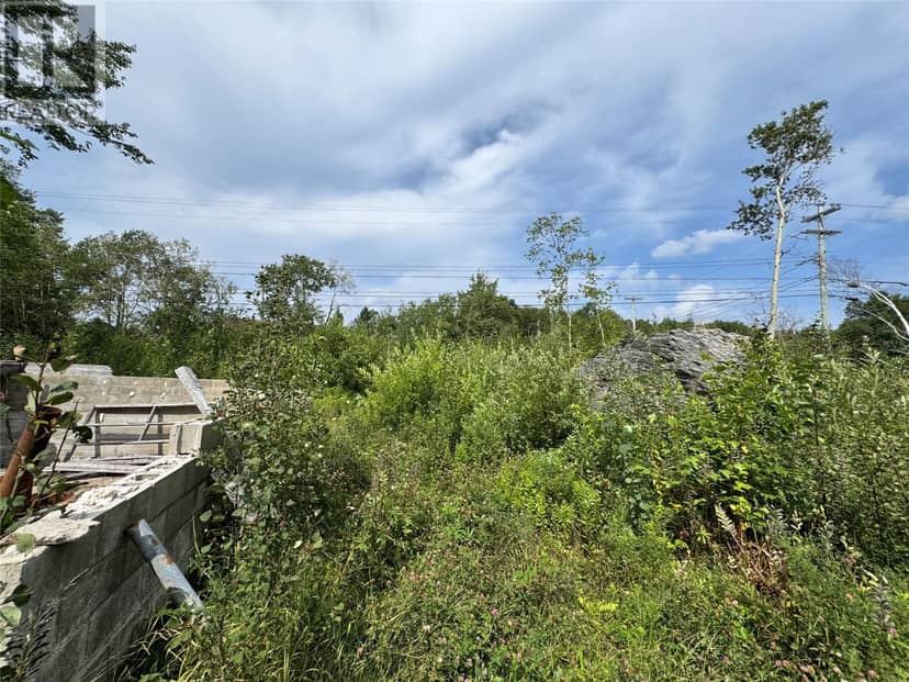 88 Main Street, Sandringham, photo 3
