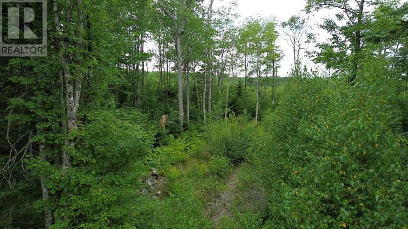 Lot 8 Peck Meadow Road, Greenfield, photo 8