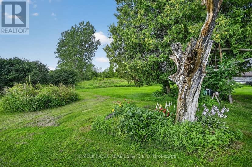 10835 Jellyby Road — photo 40 of 40