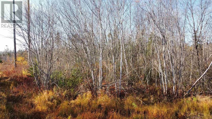 Lot No 3 Highway — photo 5 of 5