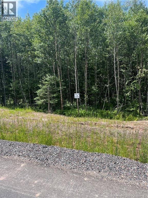 lot Cedarwood Drive — photo 1 of 6