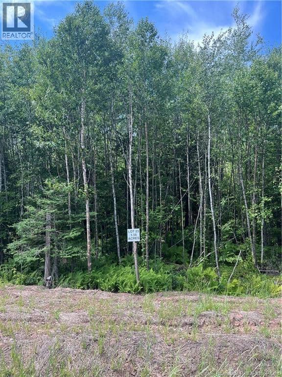 lot Cedarwood Drive — photo 2 of 6