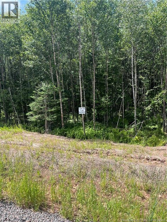 lot Cedarwood Drive — photo 3 of 6