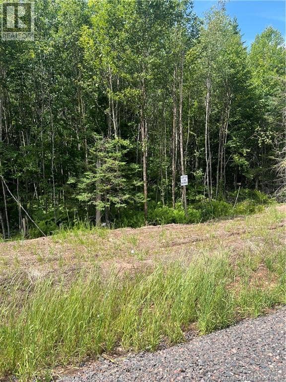 lot Cedarwood Drive — photo 5 of 6