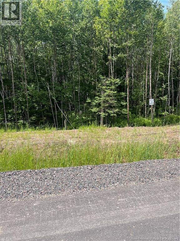 lot Cedarwood Drive — photo 6 of 6