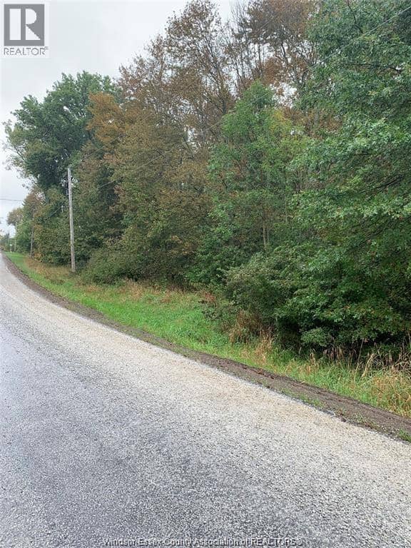 V/L Brush Side Road — photo 2 of 7