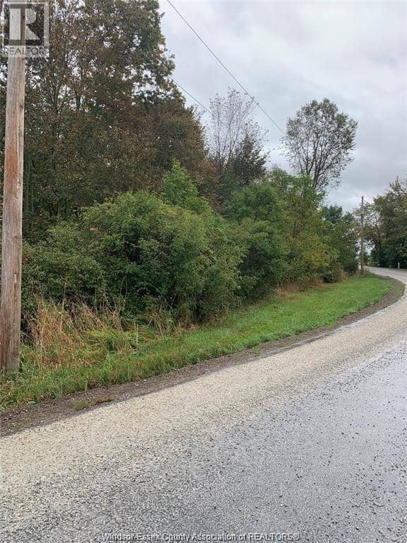 V/L Brush Side Road — photo 3 of 7