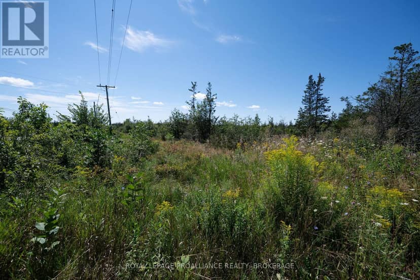 1707 County Road 2, Prince Edward County, photo 7