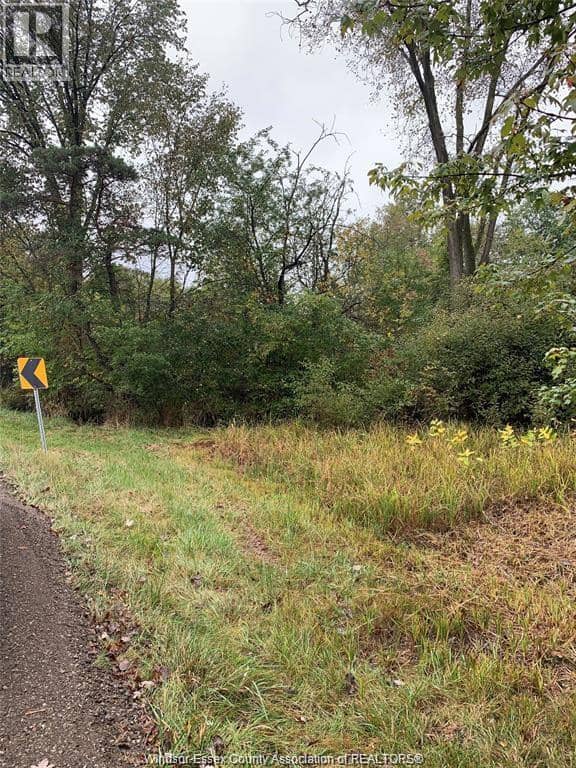 V/L Brush Side Road — photo 2 of 4