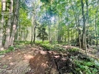 330 13TH CONCESSION Road, Scotland, photo 8