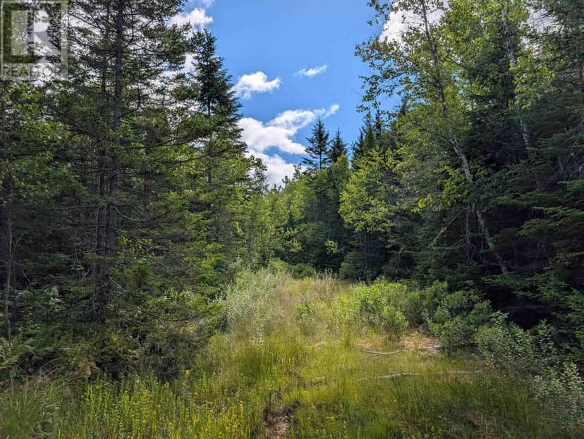 80 Acres Dalrymple Rd Road — photo 3 of 11