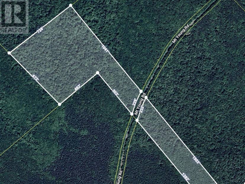 0 Mt.Young Rd. Road — photo 2 of 3