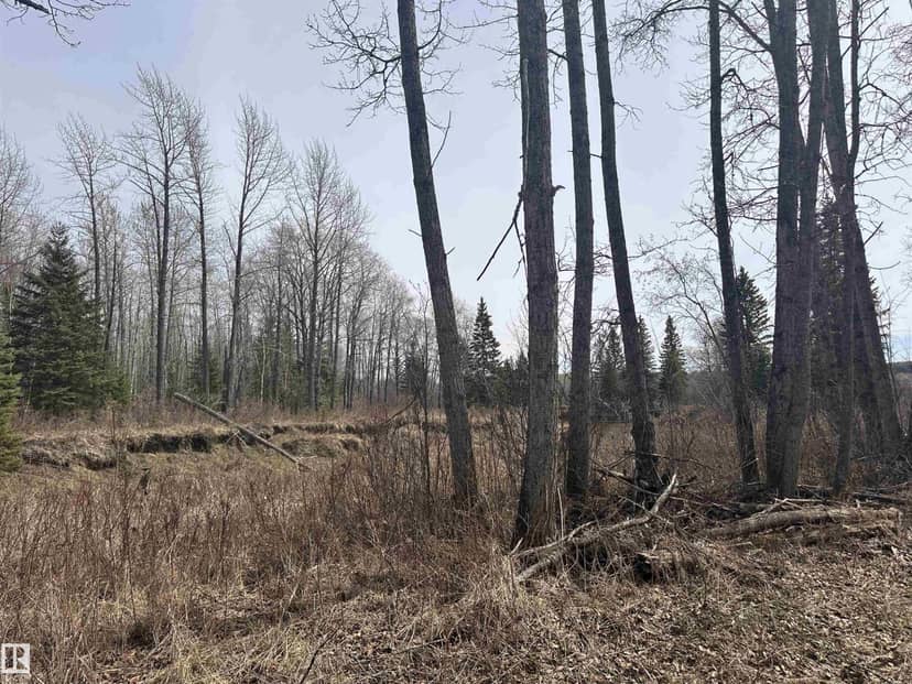 620075 Rge Rd 51 — photo 33 of 40