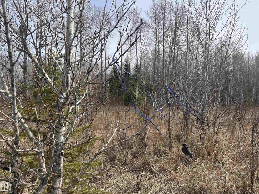 620075 Rge Rd 51 — photo 31 of 40