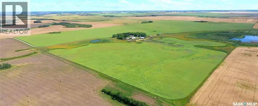 Elcapo Esterhuyse Farm — photo 8 of 40