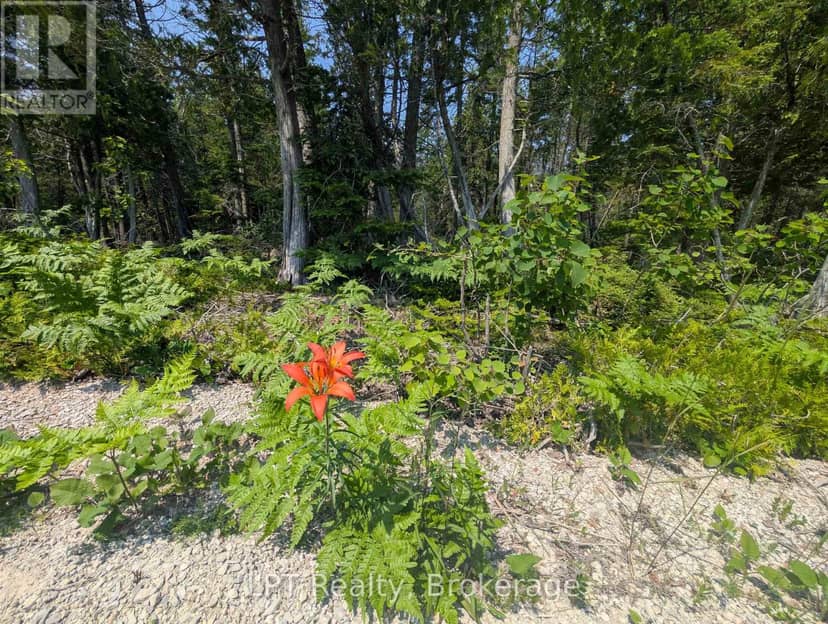 1226 Dorcas Bay Road — photo 11 of 32