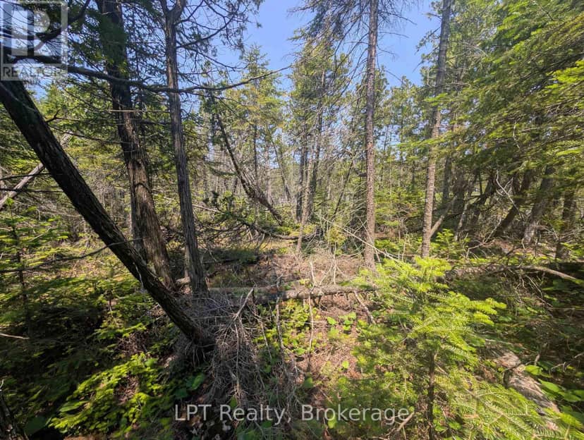 1226 Dorcas Bay Road — photo 13 of 32