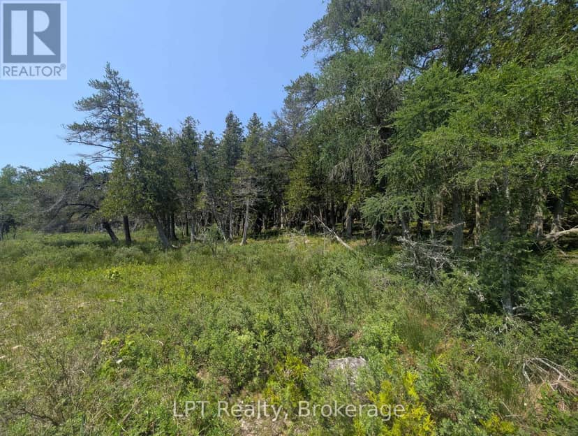 1226 Dorcas Bay Road — photo 18 of 32
