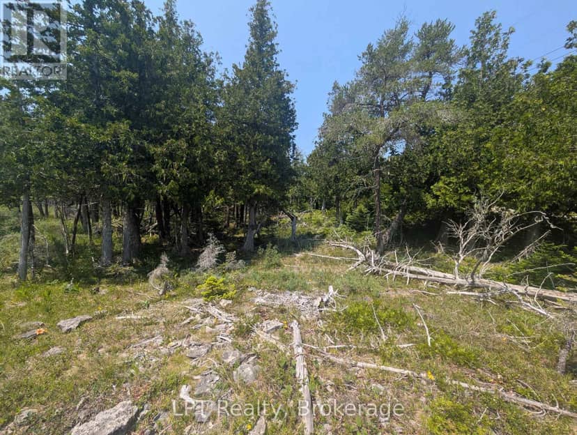 1226 Dorcas Bay Road — photo 7 of 32