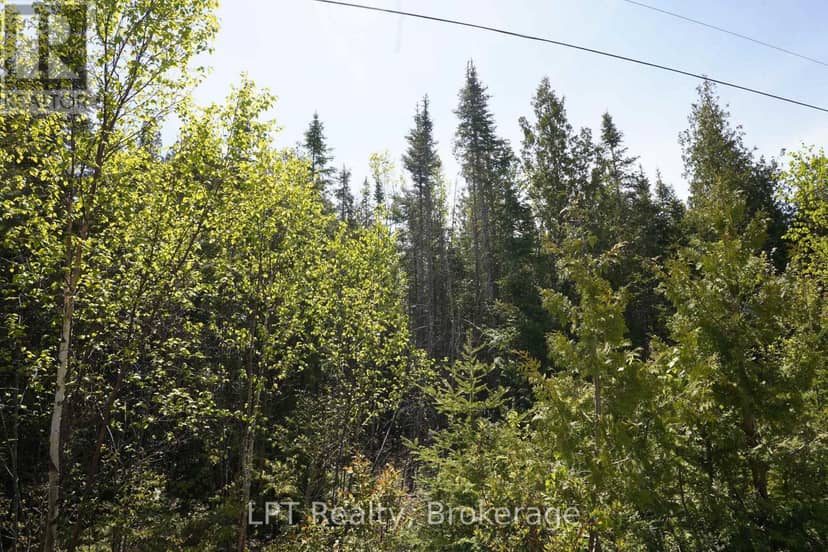 76 Myles Drive — photo 10 of 18