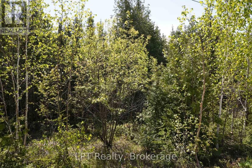76 Myles Drive — photo 14 of 18