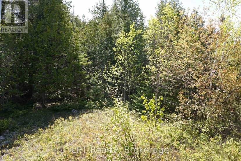 76 Myles Drive — photo 9 of 18