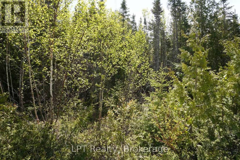 76 Myles Drive — photo 13 of 18