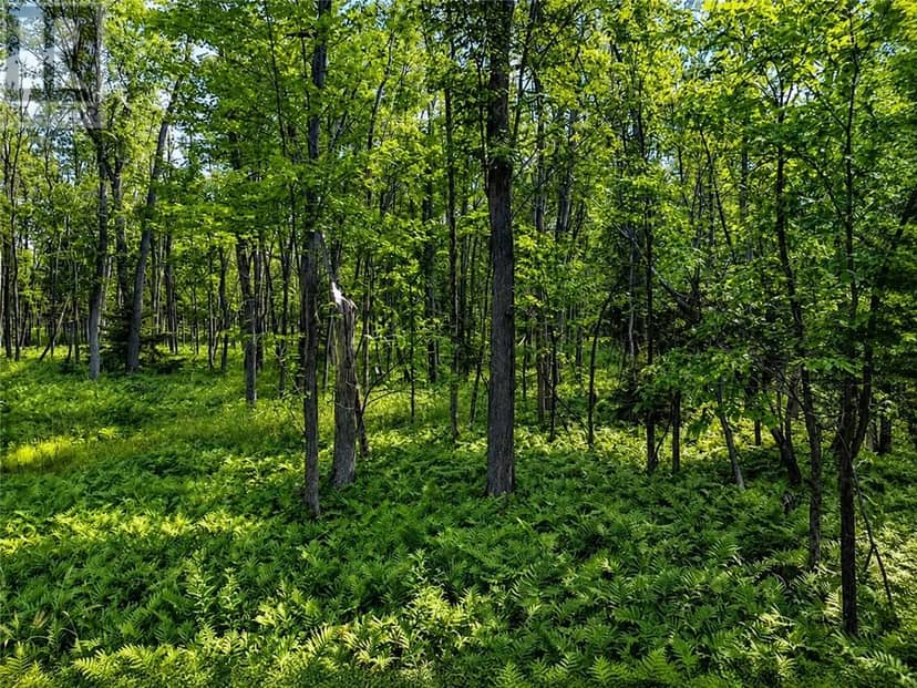 Lot 9 Fruchey Street, Kagawong, photo 8
