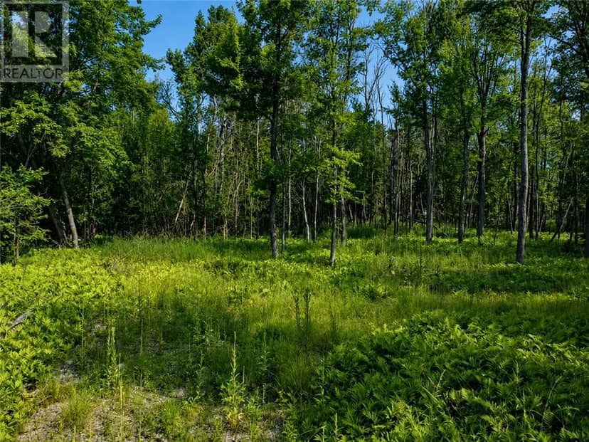 Lot 9 Fruchey Street — photo 9 of 25