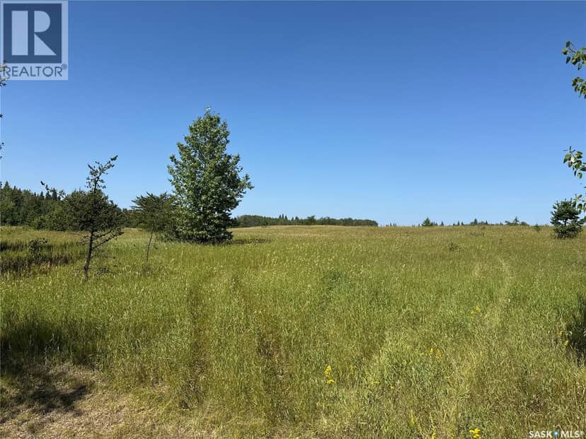 12 Acre Lot at Fur Lake (LSD3) — photo 22 of 22