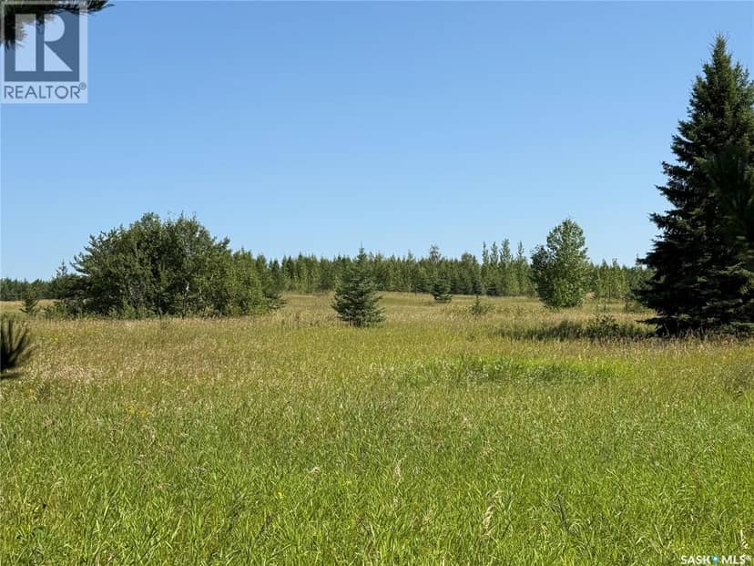 12 Acre Lot at Fur Lake (LSD3) — photo 14 of 22