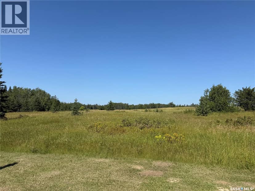 12 Acre Lot at Fur Lake (LSD3) — photo 16 of 22