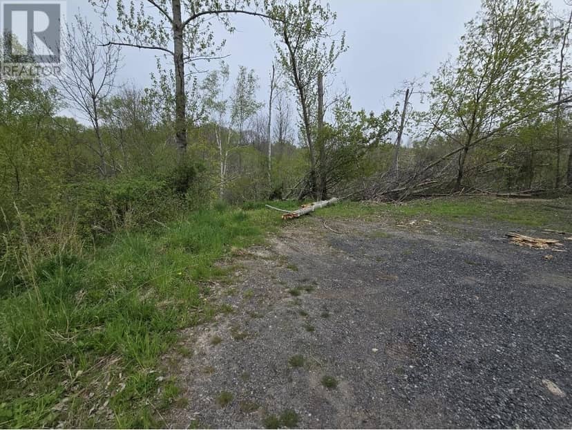 Double Lot 2 Brook Street, Trenton
