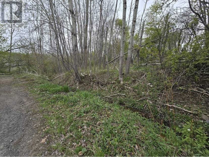 Double Lot 2 Brook Street, Trenton, photo 3