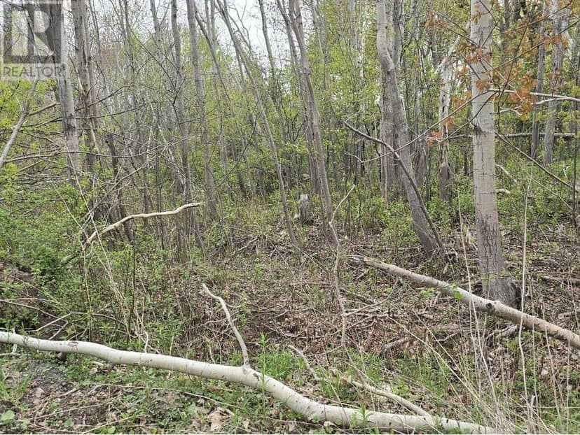 Double Lot 2 Brook Street, Trenton, photo 5