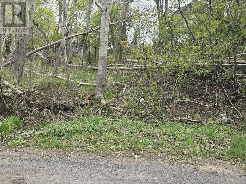 Double Lot 2 Brook Street, Trenton, photo 6