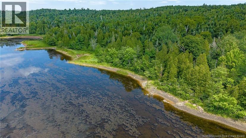 Lot #2 Joseph Long Road, Summerville, photo 2
