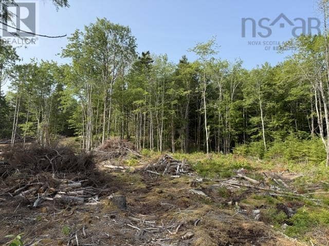 Lot 12 Island View Drive, Middlewood, photo 7