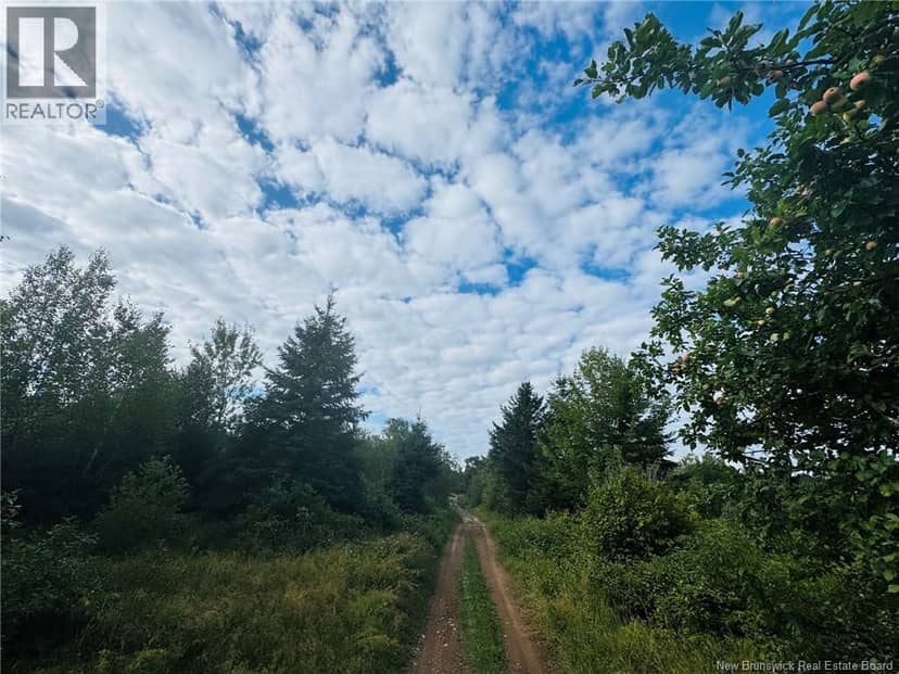 Lot Route 280, Dundee, photo 2