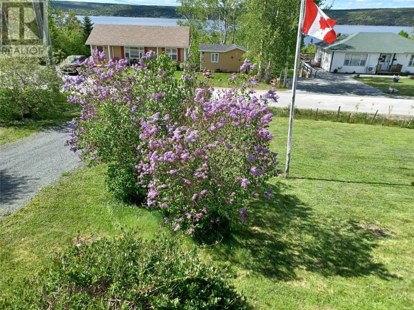 124 Riverside Road E, Glovertown, photo 4
