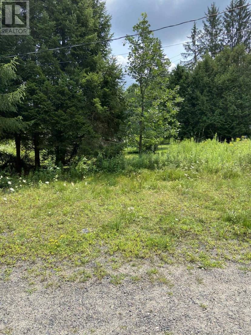 21 Ferndale Road — photo 12 of 13