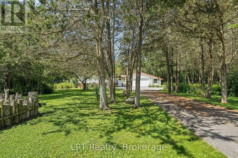 1207 County Rd 9 Street — photo 39 of 40