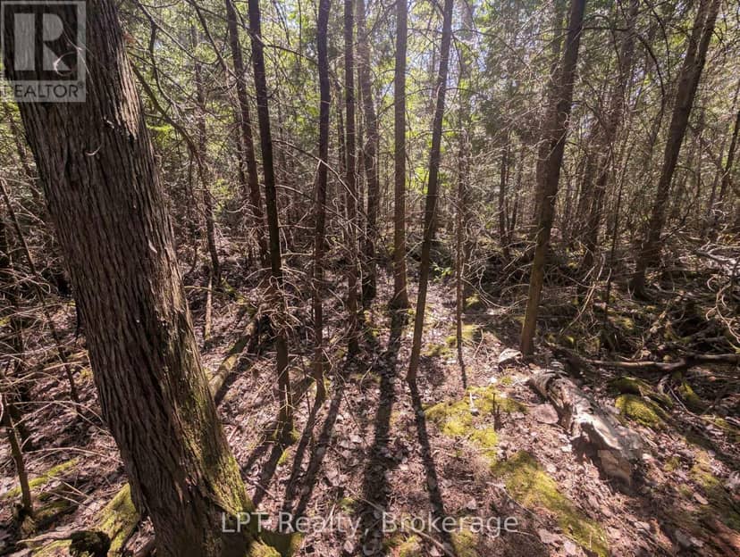 Lot 10 Trillium Crossing — photo 18 of 36