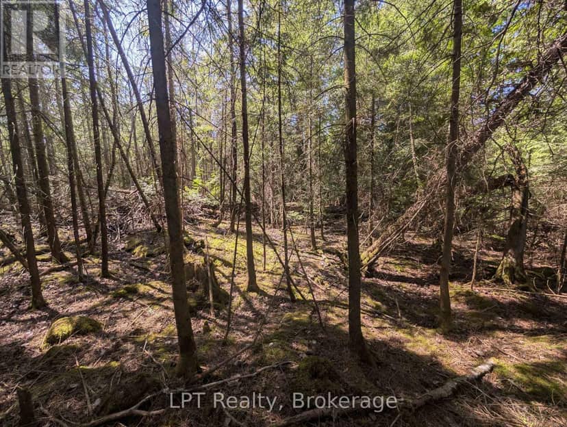 Lot 10 Trillium Crossing — photo 17 of 36