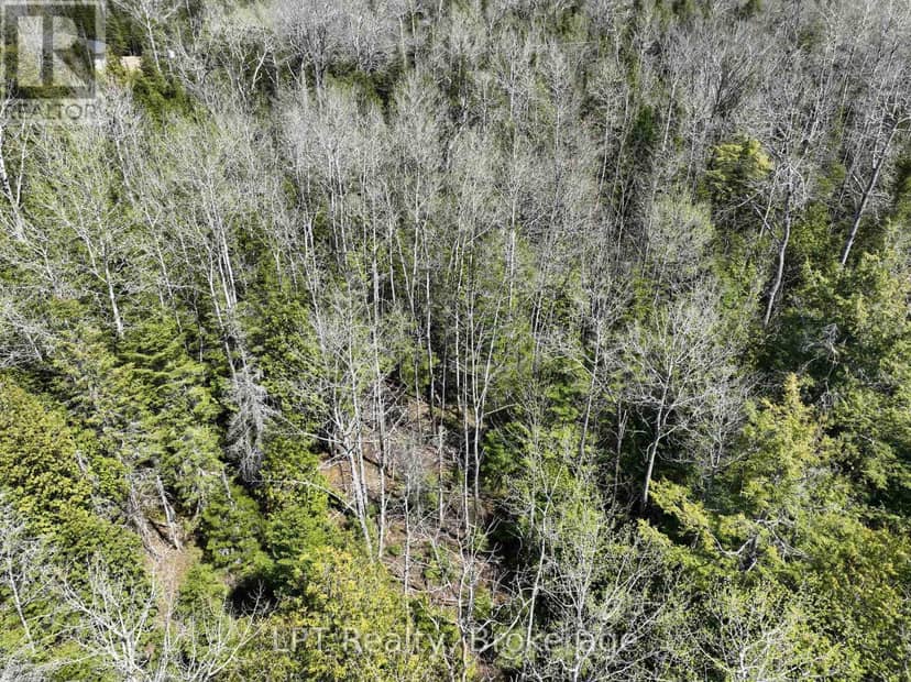 Lot 10 Trillium Crossing — photo 20 of 36