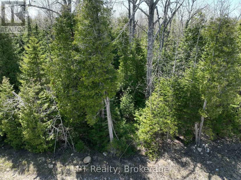 Lot 10 Trillium Crossing — photo 5 of 36