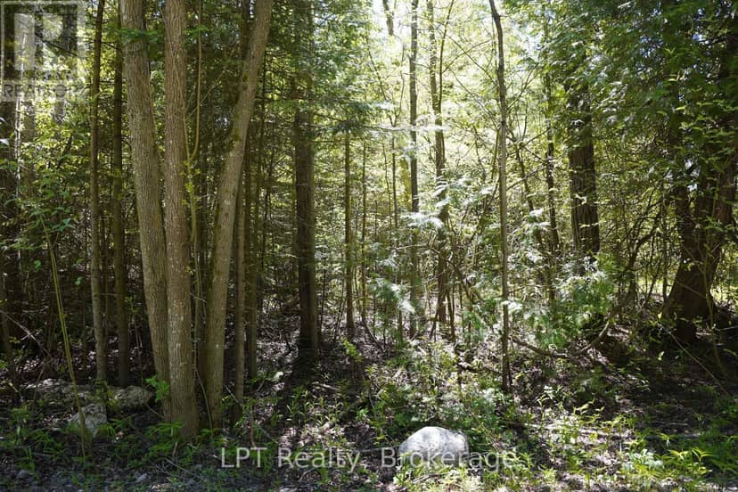 74 Lonely Island Drive — photo 21 of 28