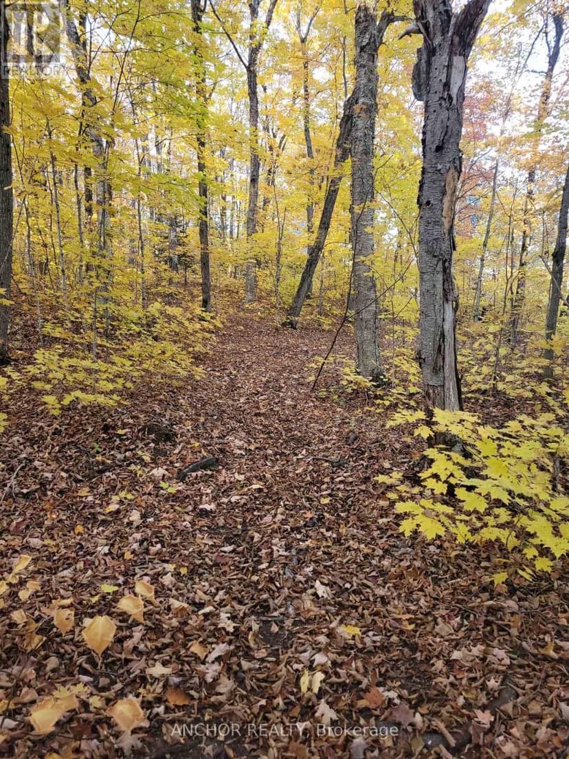 550 Shawanaga Lake — photo 20 of 35