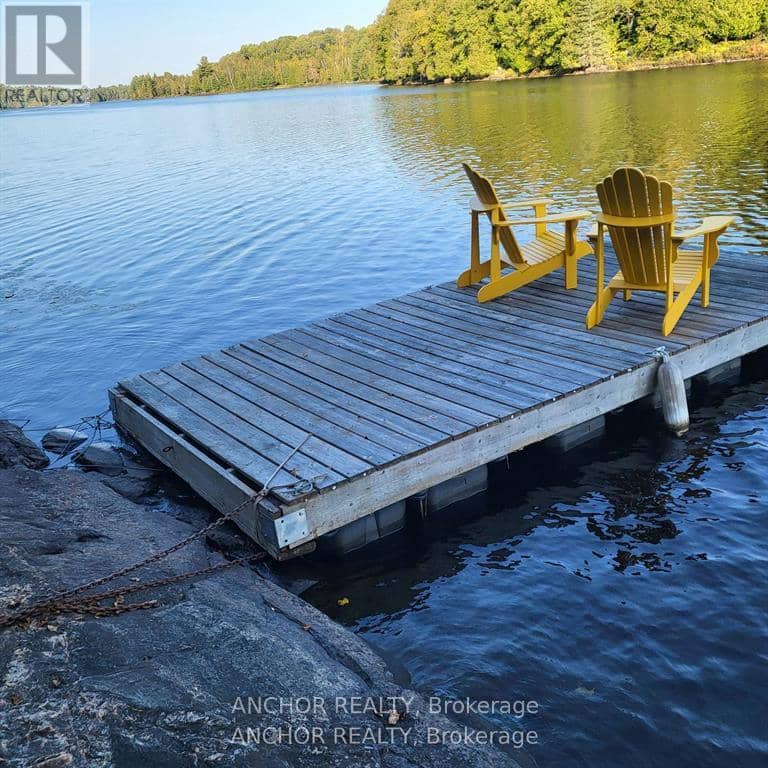 550 Shawanaga Lake — photo 31 of 35