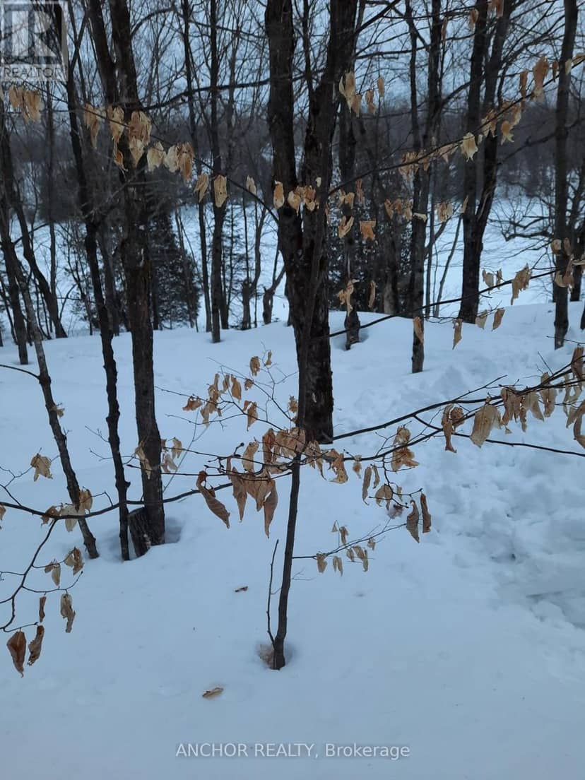 550 Shawanaga Lake — photo 35 of 35